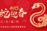 辭舊迎新，蛇舞華章丨深圳容金科技全體員工祝您新春快樂(lè)！