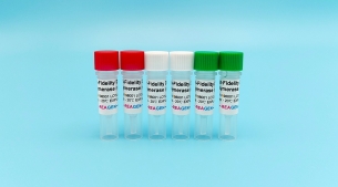 高保真DNA聚合酶